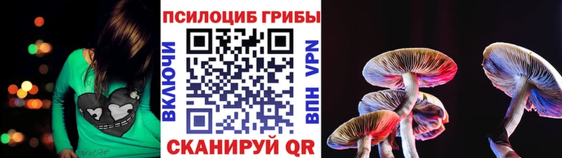 Псилоцибиновые грибы Magic Shrooms  Тында 