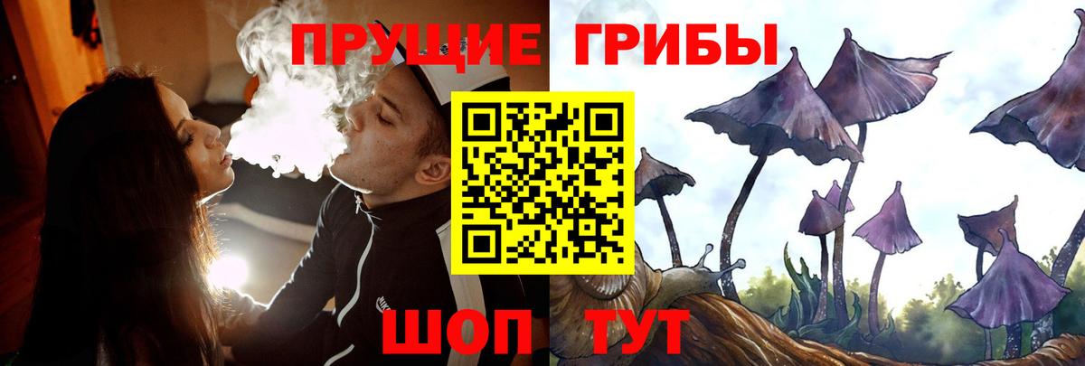 Псилоцибиновые грибы мухоморы  Вход с VPN  Тында 