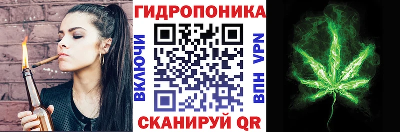 Конопля SATIVA & INDICA  блэк спрут ТОР  Тында 